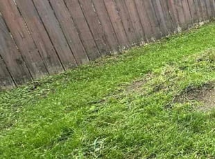Cleanups by Josiah Cantu for Sarah L. in Austin, TX