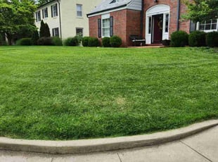 Denise C.'s Lawn Service service result
