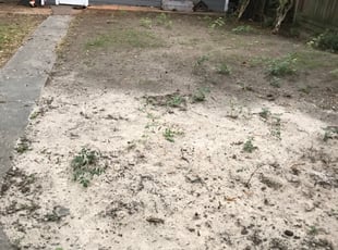 Cleanups by Bridgette Hill for Jacob G. in Memphis, TN