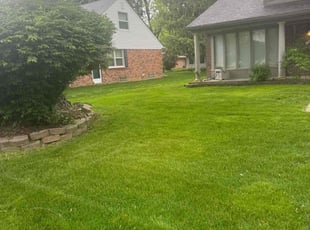 Leaf Removal by Karl Wright for Fadia A. in Canton, MI