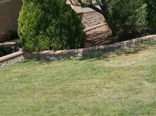 Liz M.'s Lawn Mowing service result