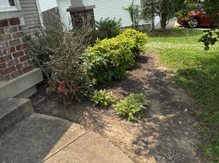 Weeding by Melvin Pryor for Maddie M. in Nashville, TN