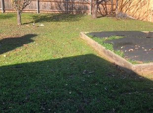 Leaf Removal by Isaiah Fiechtner for Carlotta V. in Leander, TX