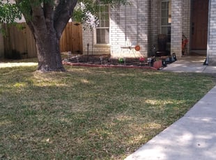 Leaf Removal by Jason Salazar for Gillian S. in San Antonio, TX