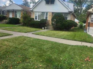 Renzie B.'s Lawn Mowing service result