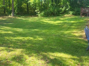 Robert M.'s Lawn Mowing service result
