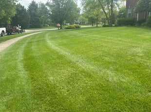Lorraine E.'s Lawn Service service result