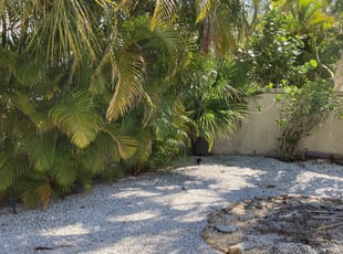 Leaf Removal by Robert Lee for Walter R. in Siesta Key, FL