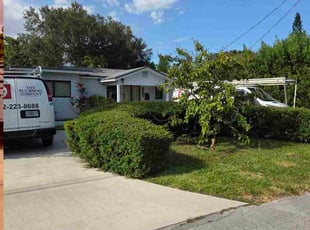 ELIZABETH F.'s Bush Trimming service result