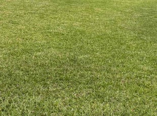 Diane A.'s Lawn Care service result
