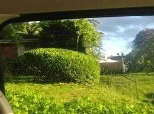 Bush Trimming by Jose Munoz for Cynthia E. in Harrisburg, PA