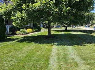 Emmett H.'s Lawn Service service result