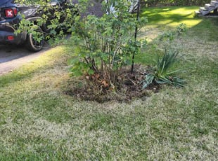Cleanups by Michael Whiting for Mark S. in Hudson, NH