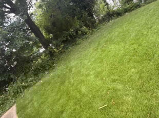Bush Trimming by Charlie Laster for Sherry C. in Temple Hills, MD