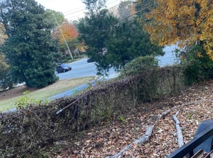 Bush Trimming by Gerald Oyerinde for Trish R. in Decatur, GA