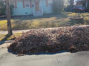 Leaf Removal by Jose Ordonez for Margaret M. in Charlotte, NC