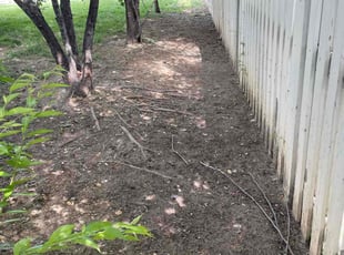 Weeding by Hector Blanco for Richard T. in Springfield, VA
