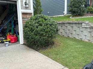 Bush Trimming by Joshua Coonradt for Brian F. in Chapel Hill, NC