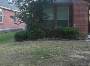 Bush Trimming by Julian Sanchez for Cindy K. in Forney, TX