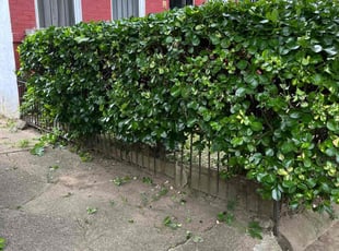 Bush Trimming by Jason Scott for Laverne H. in Washington, DC