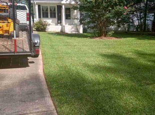 Andre H.'s Lawn Mowing Service service result