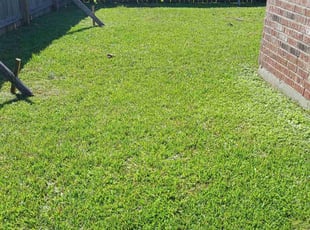 Jeri V.'s Lawn Service service result