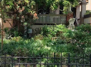 Bush Trimming by Allan Roberts for Kate A. in Washington, DC