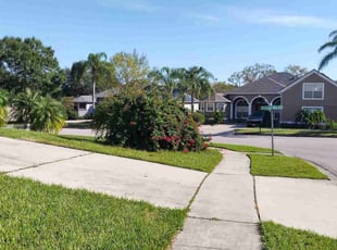 Bush Trimming by Carl Ridle for Tomas and Annette B. in Apopka, FL