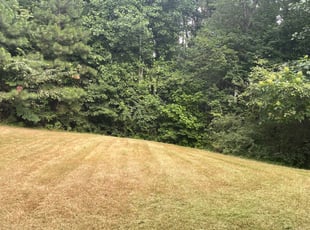 Bush Trimming by Byron Moreland for Trecia L. in Powder Springs, GA