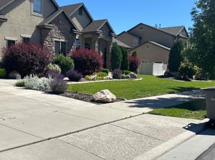 Elena G.'s Grass Cutting service result