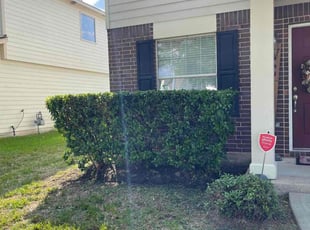 Bush Trimming by Danny Blanco for Sherry P. in Katy, TX