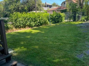 Ariel D.'s Lawn Care service result