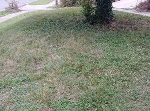 Cleanups by George Tureman for Harrison S. in Richmond, VA