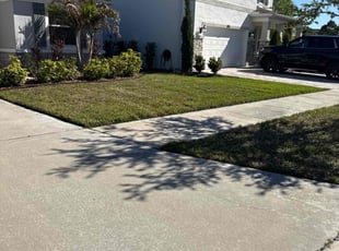 Carlton S.'s Lawn Maintenance service result