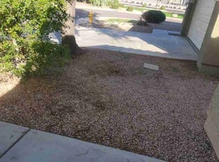 Leaf Removal by Chris Hawk for Dawayne R. in Phoenix, AZ