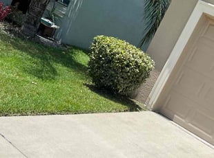 Bush Trimming by Johnny Torres for Fei M. in Riverview, fl