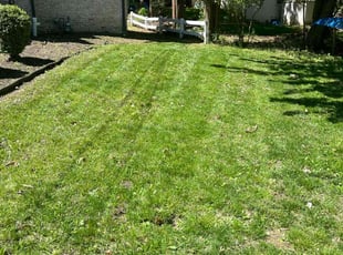Bush Trimming by Anthony Cosenzo for Vanessa W. in West Orange, NJ