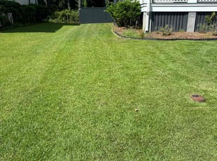 Jason M.'s Lawn Care service result