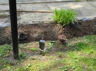 Weeding by Jose Gonzalez for Stacey C. in Bowie, MD