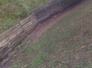 Leaf Removal by Virgil GREENE for Willie M. in Ellenwood, GA