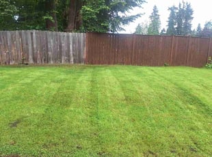 Denise R.'s Lawn Service service result