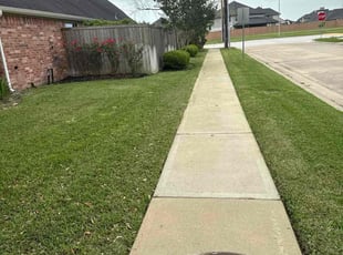 Vickie C.'s Lawn Care service result