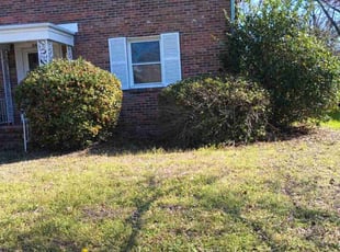 Bush Trimming by Sean Saulsby for Shane K. in Norfolk, VA