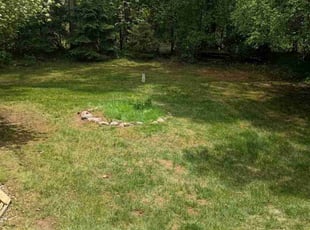 Leaf Removal by Carnell Garrett for Janet C. in Troy, MI