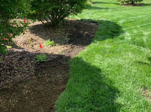 Landscaping by Dave Ehrenberg for Susan S. in Columbus, OH