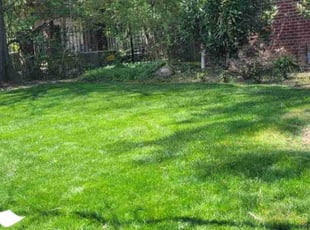 Eli W.'s Lawn Service service result