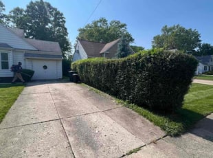 Bush Trimming by Demetrius Bennett Jr for Liv C. in Lyndhurst, OH