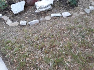 Cleanups by Ramon Flores for Nicol D. in Pearland, TX