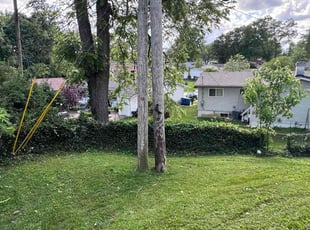 Weeding by Brandon Fiala for David B. in Maryland Heights, MO