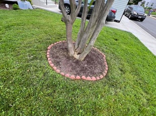Weeding by Jairon Villagran for Helen R. in Rockville, MD